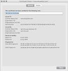 Ροζίτας Σώκου